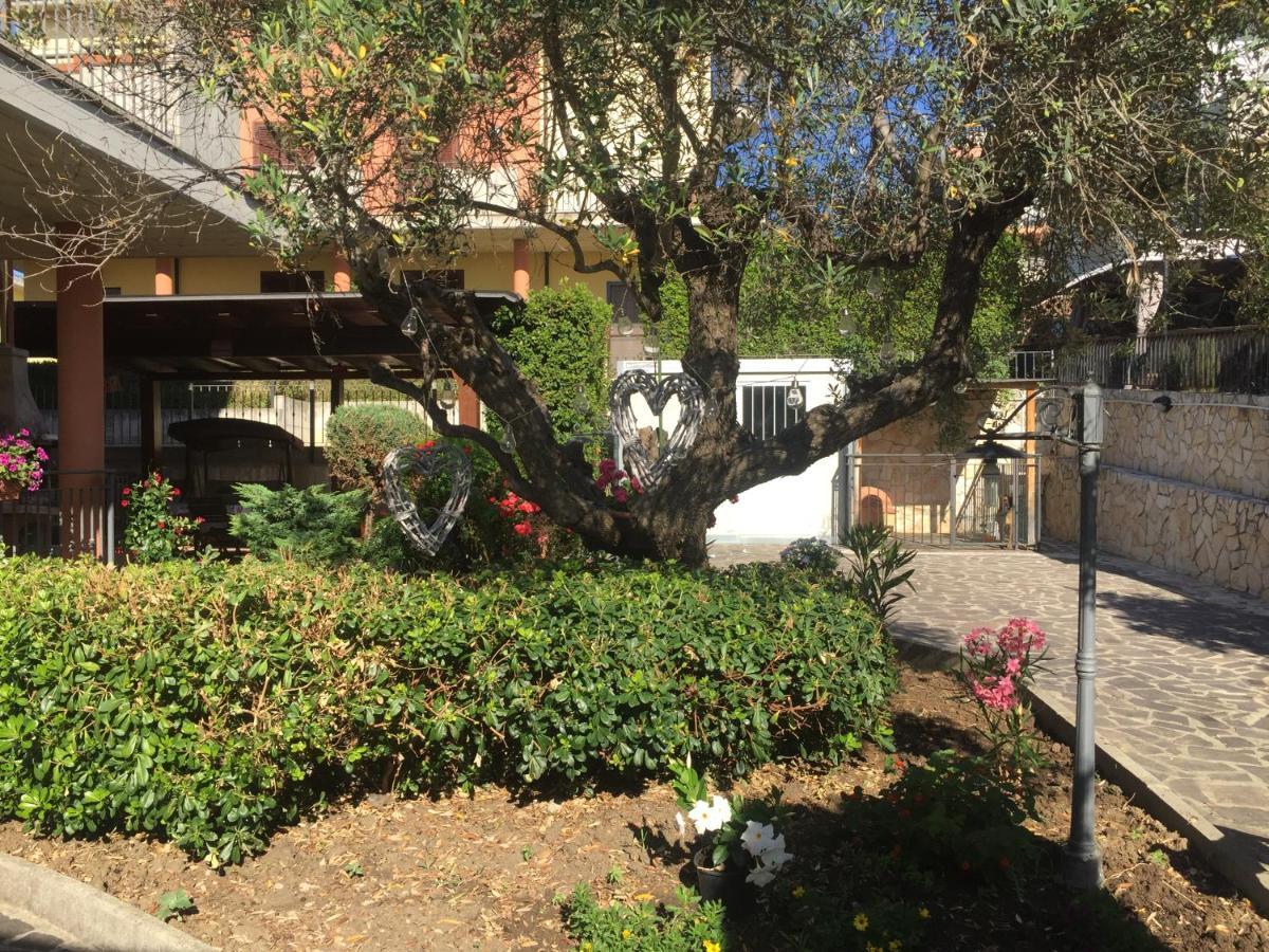 B&B Il Piu Bello San Salvo Kültér fotó