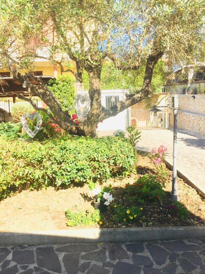 B&B Il Piu Bello San Salvo Kültér fotó